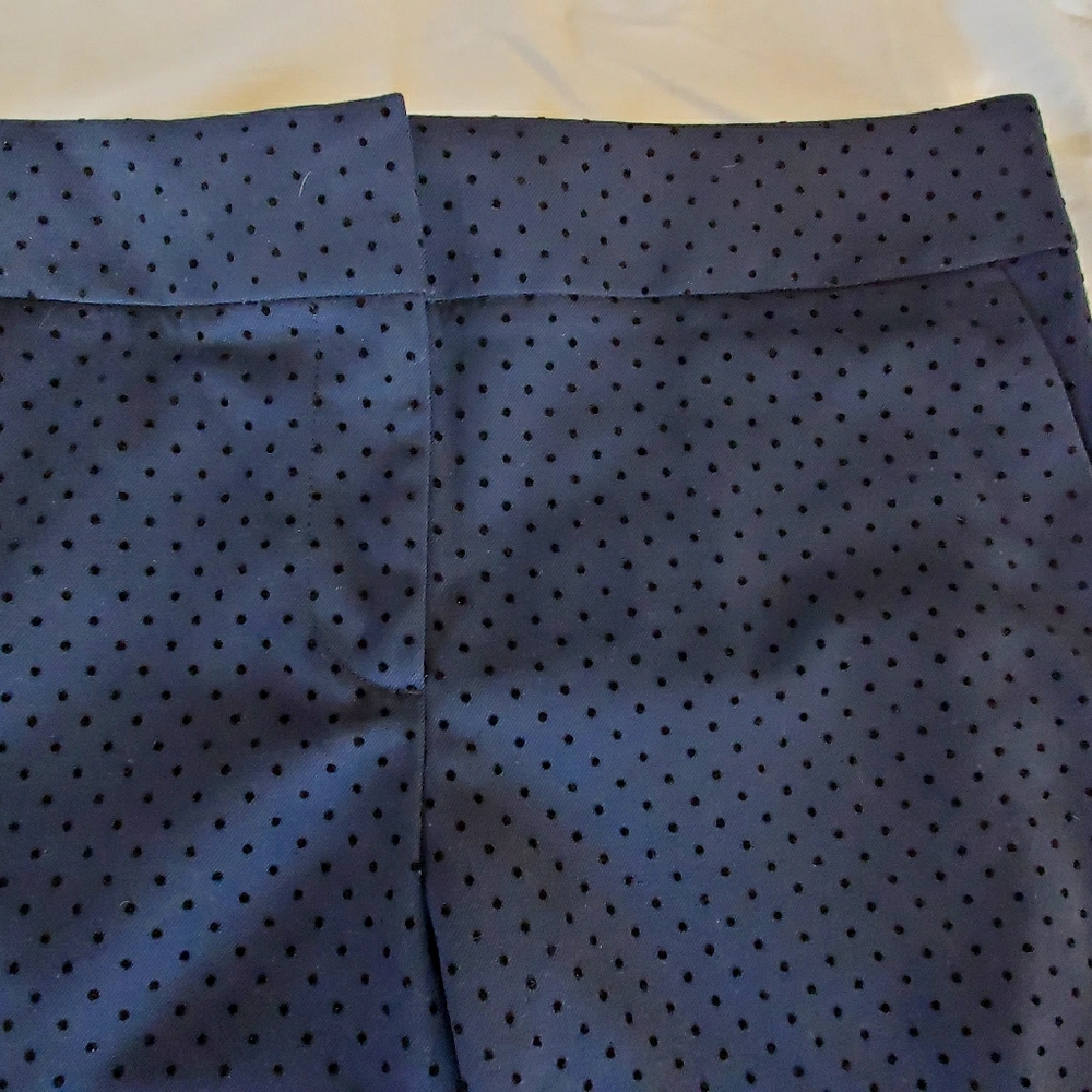 Loft cropped Marissa pants